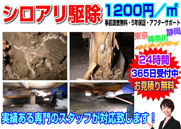 1平米はなんと1200円と格安料金!シロアリが発生したらお気軽にお問い合わせ下さい。迅速に害虫駆除致します。ゴキブリ駆除・ハチ駆除・ネズミ駆除・ハクビシン駆除・蜘蛛駆除・ムカデ駆除の事ならGarbage7へ